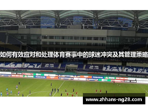 如何有效应对和处理体育赛事中的球迷冲突及其管理策略